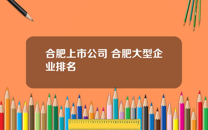 合肥上市公司 合肥大型企业排名